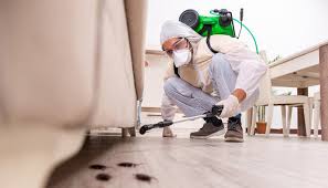 Best Termite Inspection and Treatment  in Plainedge, NY